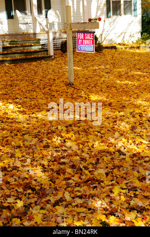 Für den Verkauf durch Eigentümer Zeichen vor Wohnhaus Stockfoto