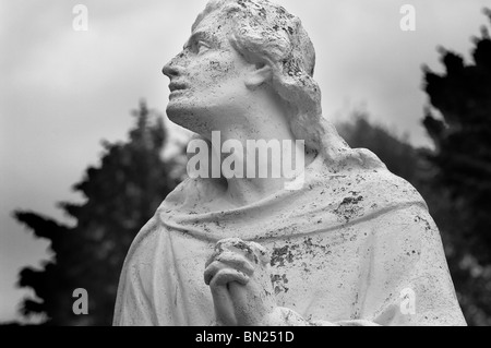 Religiöse Statue - Johannes Gollop Stockfoto