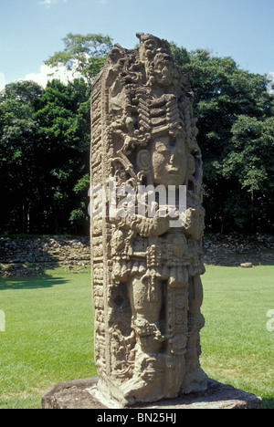 Stela H an die Maya Ruinen von Copan, Honduras, Mittelamerika Stockfoto