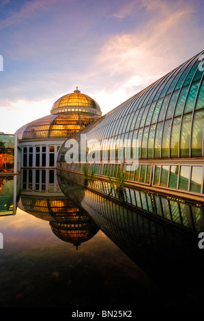 Marjorie McNeely Konservatorium in Como Park in St. Paul, Minnesota wurde erstmals im Jahre 1915 eröffnet. Stockfoto