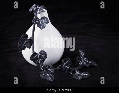 Efeu in Vase schwarz / weiß Stockfoto