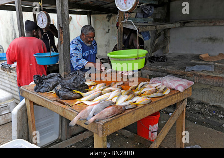 Fischmarkt in der Nähe von Caribbean Cruise Schiff in Belize City Belize Mittelamerika Stockfoto
