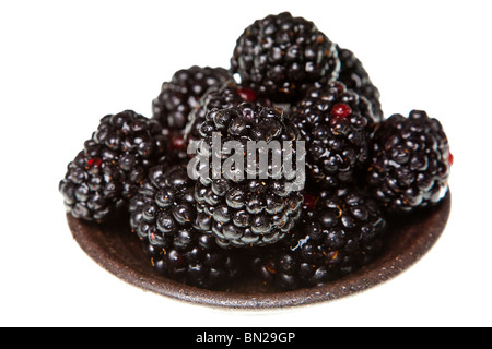 Brombeeren auf einer rein weißen Hintergrund isoliert Stockfoto