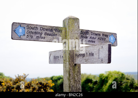 Wanderweg-Wegweiser auf der South Downs Way Stockfoto