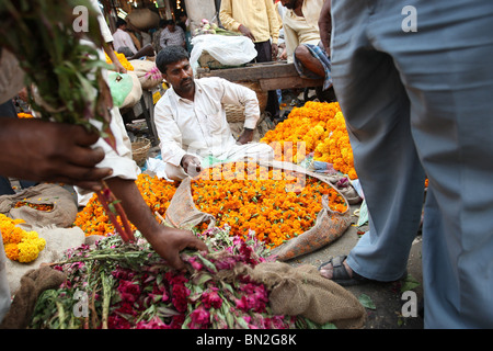 Kolkata, Westbengalen Heimat einer exotischen Kultur bekannt für seine Küche und Gastfreundschaft. Früher die Hauptstadt von Britisches Raj. Stockfoto