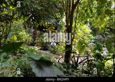 Hütte mit Moped und Fahrrad in tropischen Szene Stockfoto