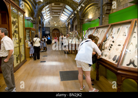 Besucher Studium Vitrinen im Natural History Museum, London 2010 Stockfoto