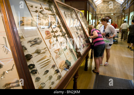 Besucher Studium Vitrinen im Natural History Museum, London 2010 Stockfoto