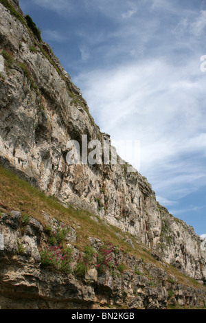 Hoch aufragende Kalksteinfelsen auf der Great Orme, Llandudno, Wales Stockfoto