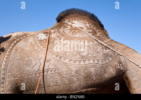 Kamelhaut Dekoration. Jaisalmer Wüste Festival. Rajasthan. Indien Stockfoto