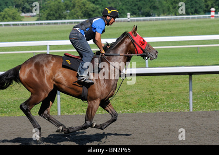 Vollblut Pferd und Bewegung jockey auf der Pferderennbahn Keeneland in Lexington, Kentucky USA Stockfoto