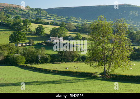 Schwarze Berge, Nr. Bwlch, Powys, Wales, UK Stockfoto