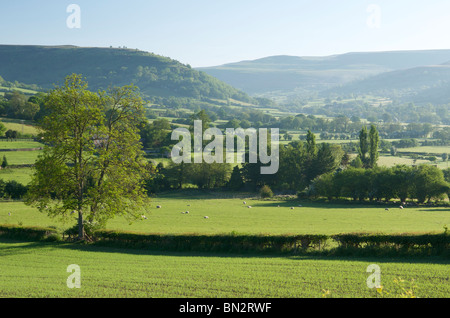 Schwarze Berge, Nr. Bwlch, Powys, Wales, UK Stockfoto