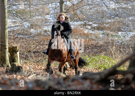 Reiten Stockfoto