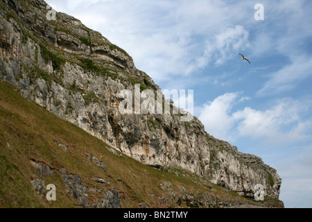 Hoch aufragende Kalksteinfelsen auf der Great Orme, Llandudno, Wales Stockfoto