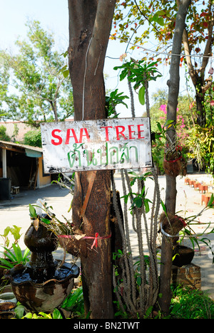 Die Schirmfabrik, Borsang Dorf, Chiang Mai, Thailand, Asien Stockfoto