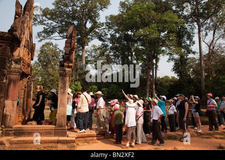Tourist in Benteay Srei Tempel, Angkor Wat, Kambodscha Stockfoto
