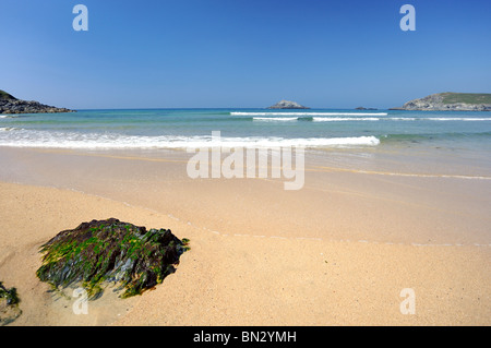 Seetang bedeckt Stein an einem Sandstrand mit klaren Wellen umspült Stockfoto