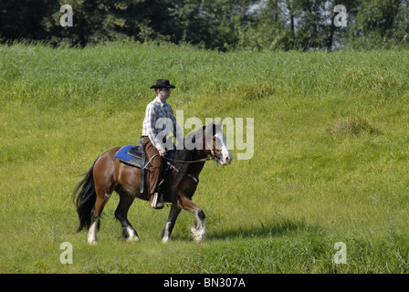 Westernreiten Stockfoto