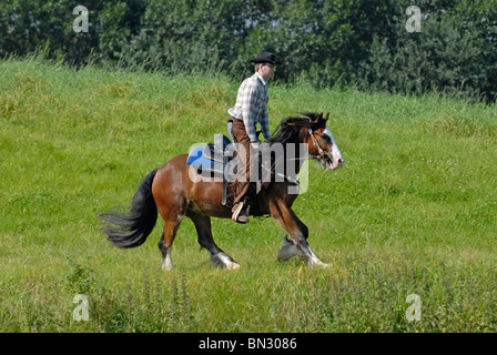 Westernreiten Stockfoto