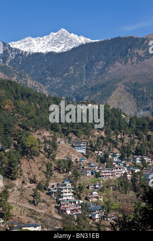 McLeod Ganj (Tibet Regierung im Exil). Dharamsala. Himachal Pradesh. Indien Stockfoto