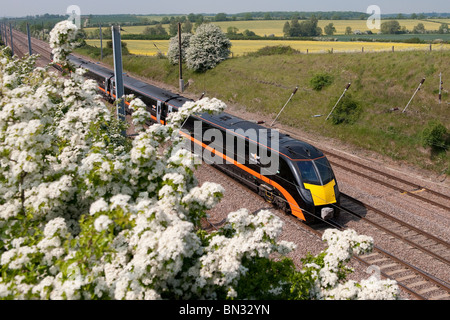 Der Personenzug der Grand Central Railway der Klasse 180, der mit Geschwindigkeit durch die englische Landschaft fährt. Stockfoto