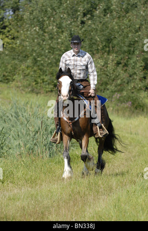 Westernreiten Stockfoto