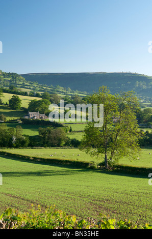 Schwarze Berge, Nr. Bwlch, Powys, Wales, UK Stockfoto