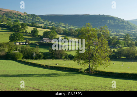 Schwarze Berge, Nr. Bwlch, Powys, Wales, UK Stockfoto