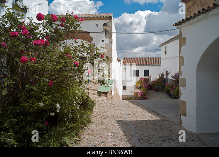 Die Altstadt, Cáceres, Extremadura, Spanien Stockfoto