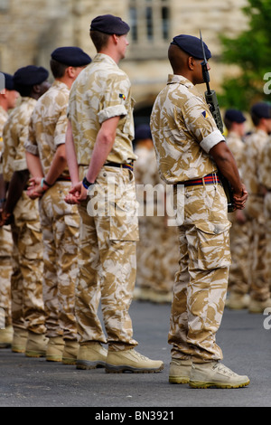 Die Royal Logistic Corps auf der Parade. Stockfoto