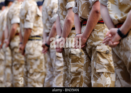 Wohlfühlen - The Royal Logistic Corps auf der Parade. Stockfoto