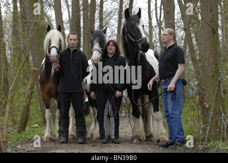 Irish Tinker Stockfoto