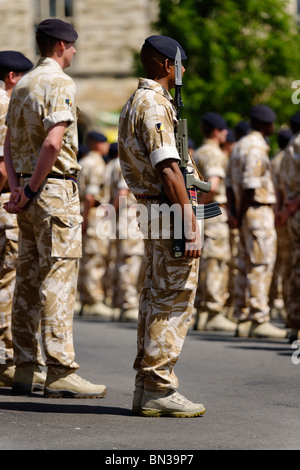 Die Royal Logistic Corps auf der Parade. Stockfoto