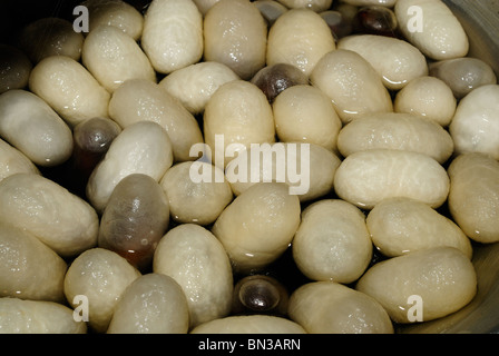 Seidenfabrik Sankhampaeng, Chiang Mai, Thailand, Asien Stockfoto