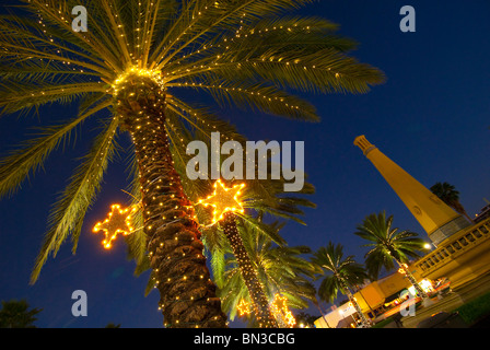 Palmen, dekoriert mit Weihnachtsbeleuchtung in der Normandie Isle Viertel in Miami Beach, Florida, USA Stockfoto