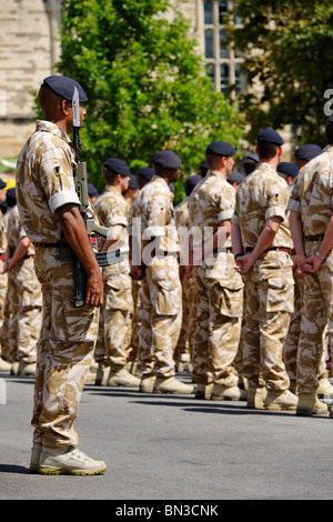 Die Royal Logistic Corps auf der Parade. Stockfoto