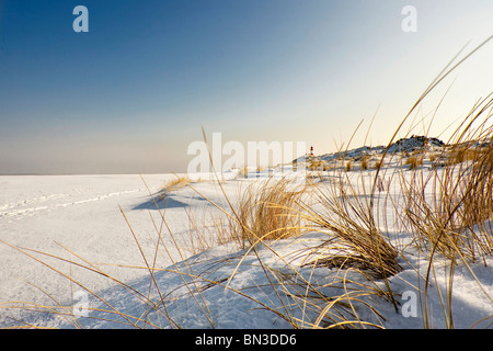 Ellenbogen, Sylt, Schleswig-Holstein, Deutschland Stockfoto