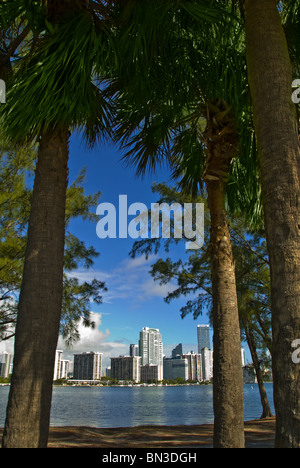 Brickell Avenue Finanzviertel Bürotürme und Eigentumswohnungen an der Biscayne Bay in Miami, Florida, USA Stockfoto