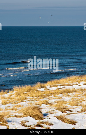 Verschneite Dünengebieten Gräser an einer Küste, Rantum, Sylt, Deutschland, erhöhten Blick Stockfoto