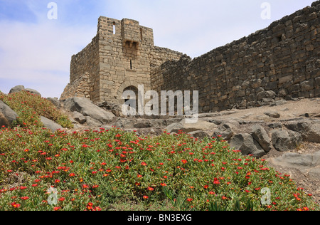 Burg Qasr Al-Azraq, Jordanien, Asien Stockfoto