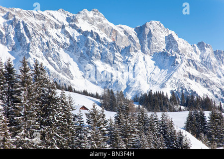 Blick auf eine Almhütte vor dem Hochkönig, Mühlbach bin Hochkönig, Österreich, niedrigen Winkel Ansicht Stockfoto