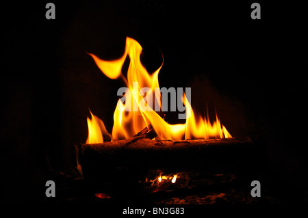Brennholz in einem offenen Feuer verbrennen Nahaufnahme Stockfoto