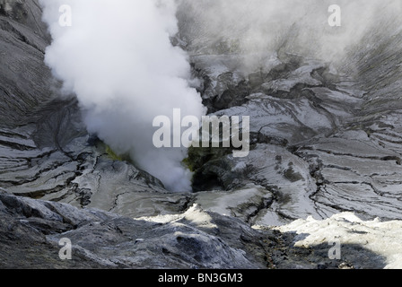 Vulkan Bromo, Nationalpark Bromo-Tengger-Semeru, Java, Indonesien, Asien Stockfoto