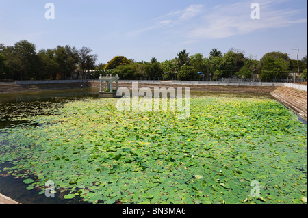 Indien-Tamil Nadu Mamallapuram einer Seerose Maße auf einem großen Becken Stockfoto