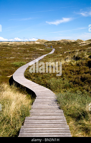 Hölzerne Pfad durch die Dünen in der Nähe von Norddorf, Amrum Insel, Deutschland, erhöhten Blick Stockfoto