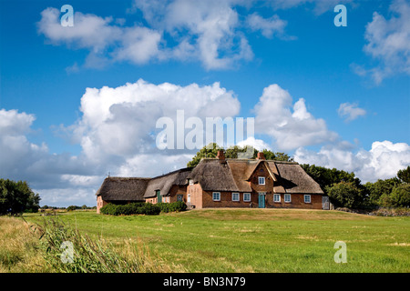 Strohdach Haus in Morsum, Sylt, Deutschland Stockfoto