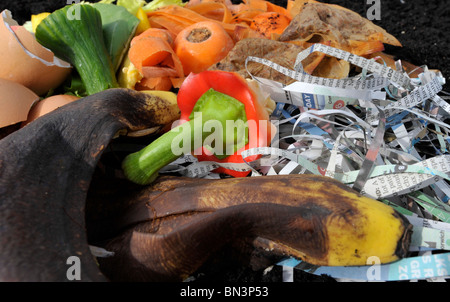 Organische Abfälle wie z.B. Bananenschalen, Eierschalen, Zeitung und Gemüse Peelings auf einem Garten Kompost. Stockfoto