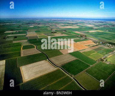 Luftaufnahme des Feldes Stockfoto