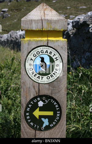 Great Orme Y Gogarth Nature Reserve Weg Zeichen, Llandudno, Wales Stockfoto